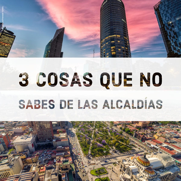 3 cosas que no sabías de las Alcaldías y sus Concejales