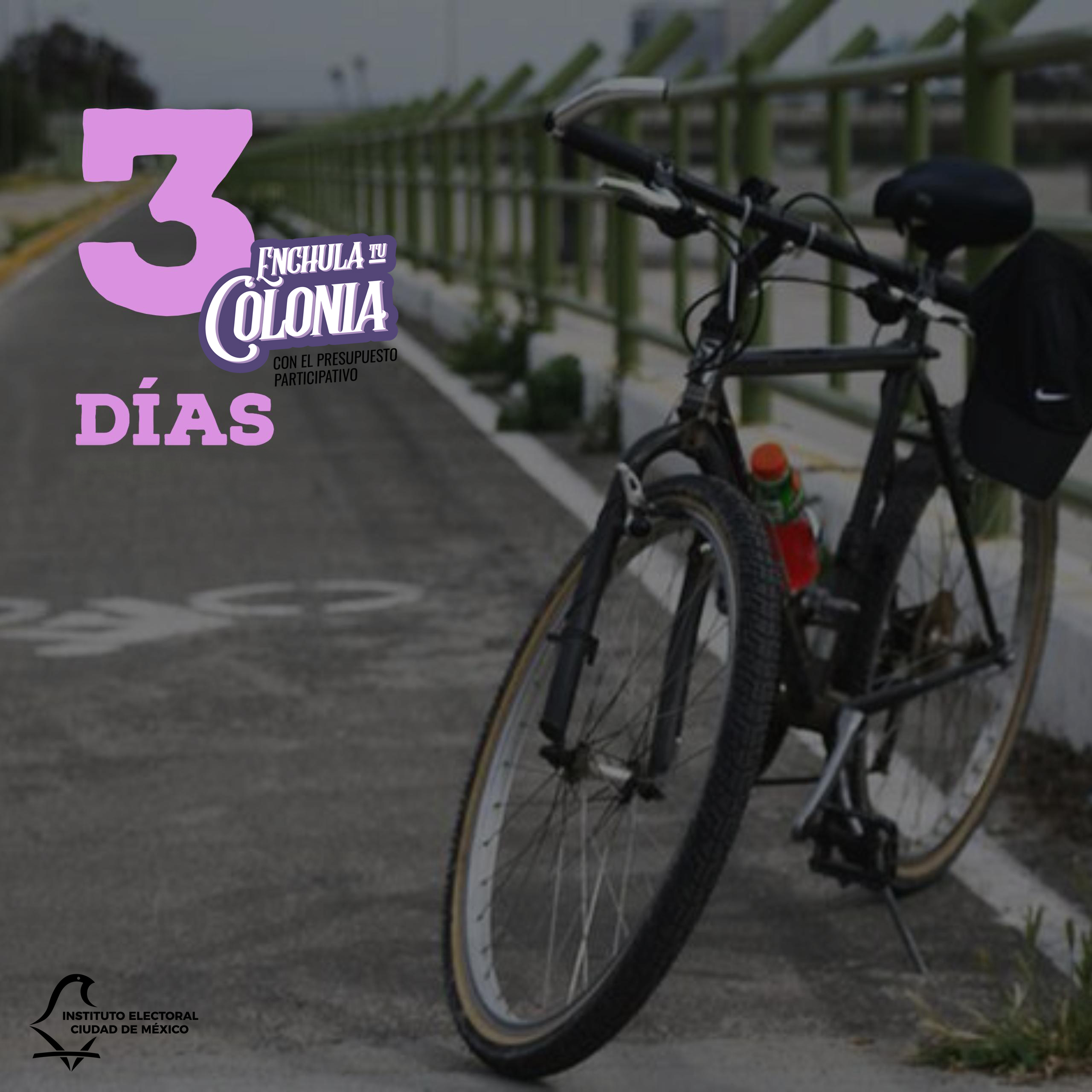 Esta es la ruta de tu proyecto #EnchulaTuColonia