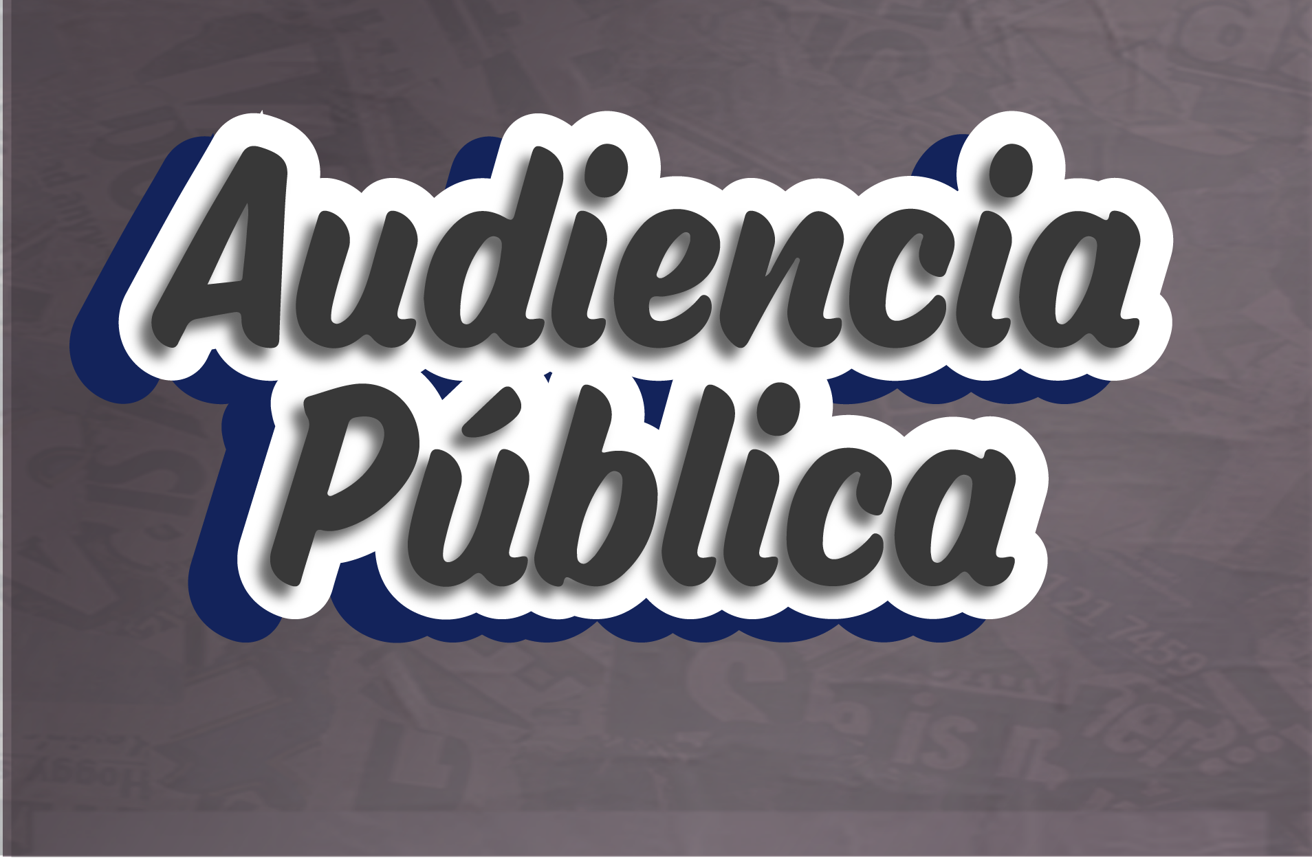 Audiencia Pública